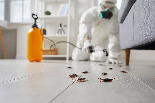 Trusted Fumigation Services service in Thornwood, NY - Nex Pest Control