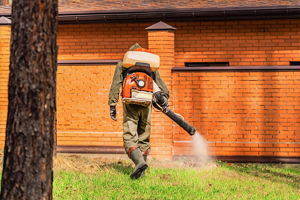 Trusted Bed Bug Control service in Thornwood, NY - Nex Pest Control